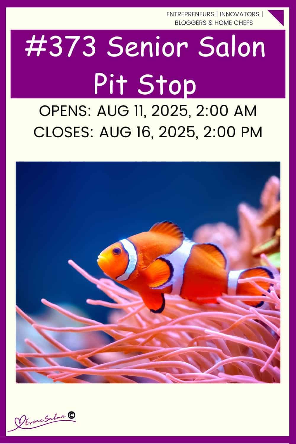 InLinkz 373 Senior Salon Pit Stop