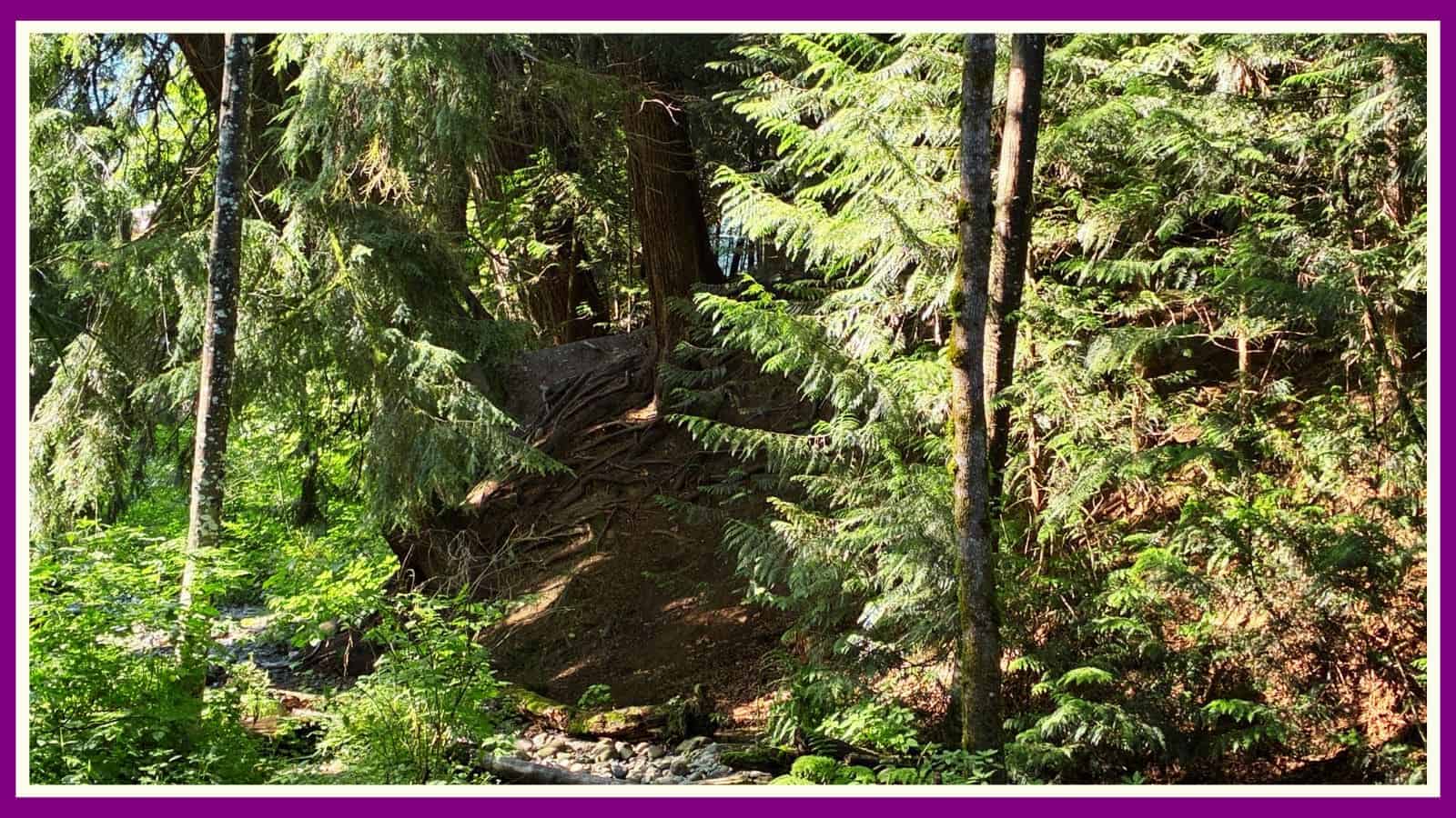 Time spent amongst trees is never wasted time