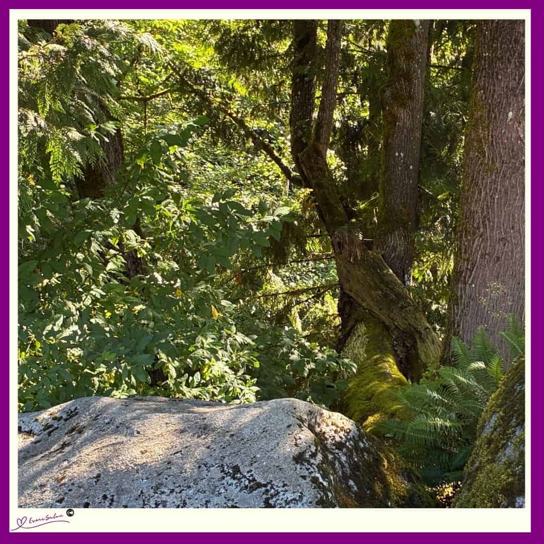 Time spent amongst trees is never wasted time