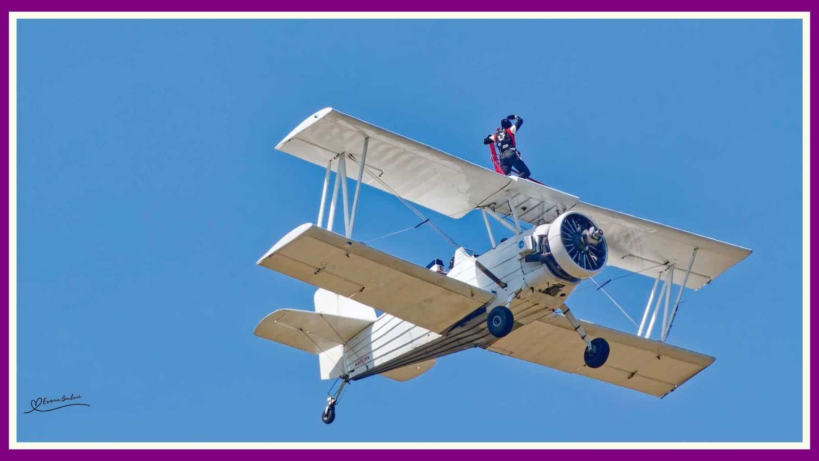 Flying Acrobatic Madness