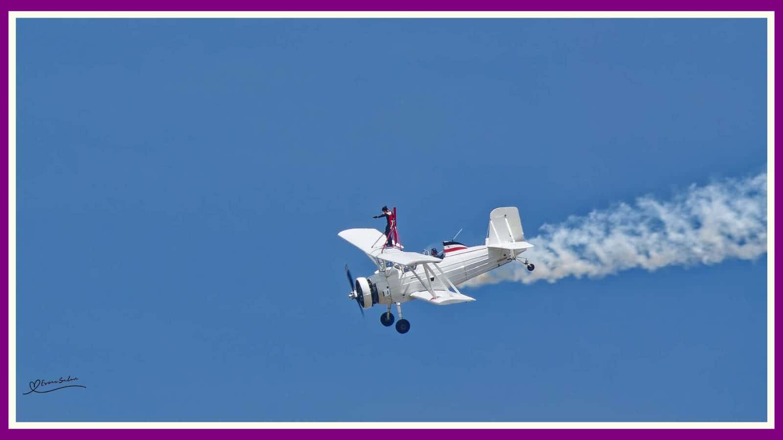 Flying Acrobatic Madness