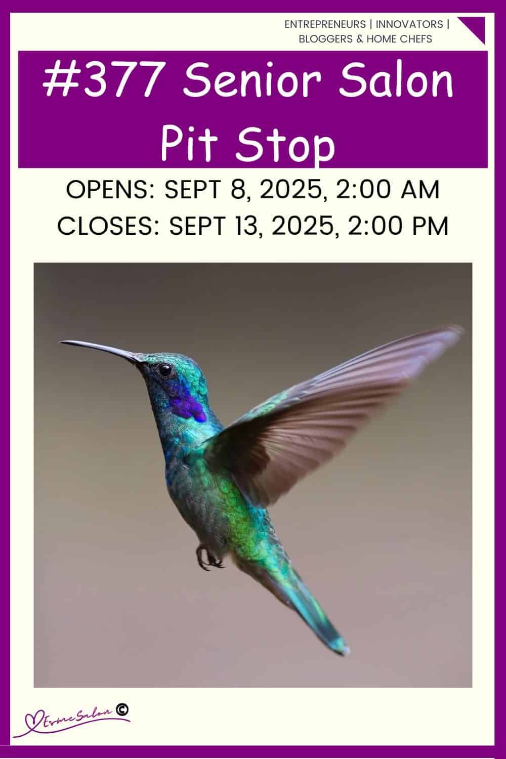 InLinkz 377 Senior Salon Pit Stop
