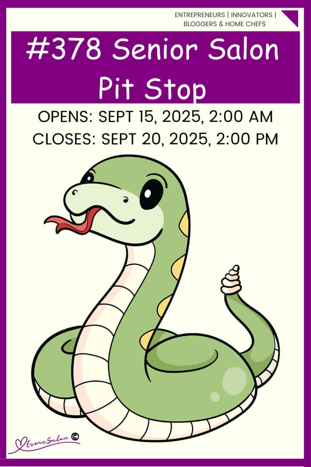 InLinkz 378 Senior Salon Pit Stop