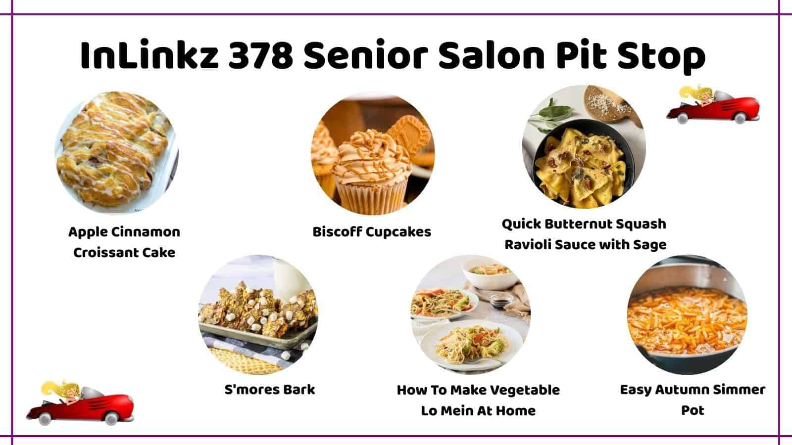 InLinkz 378 Senior Salon Pit Stop