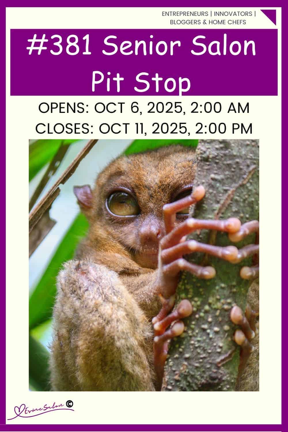 InLinkz 381 Senior Salon Pit Stop