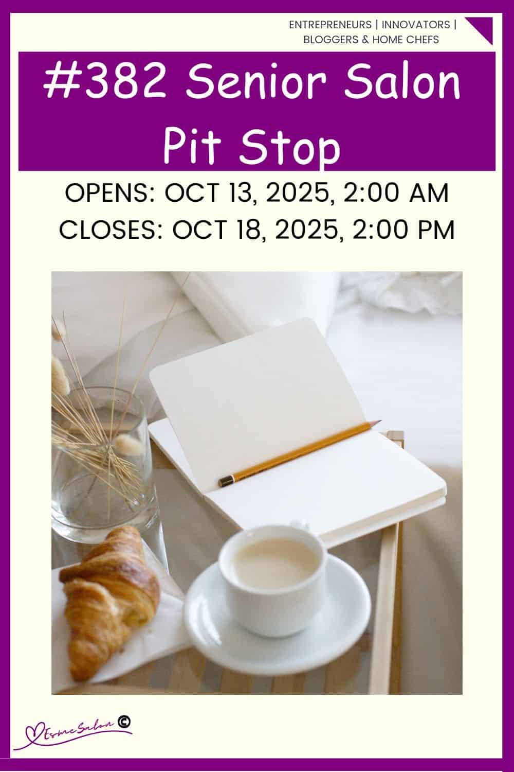 InLinkz 382 Senior Salon Pit Stop