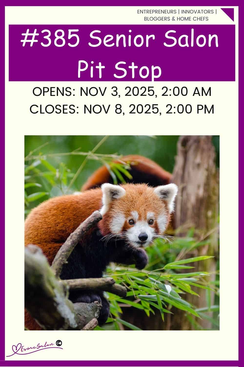 InLinkz 385 Senior Salon Pit Stop