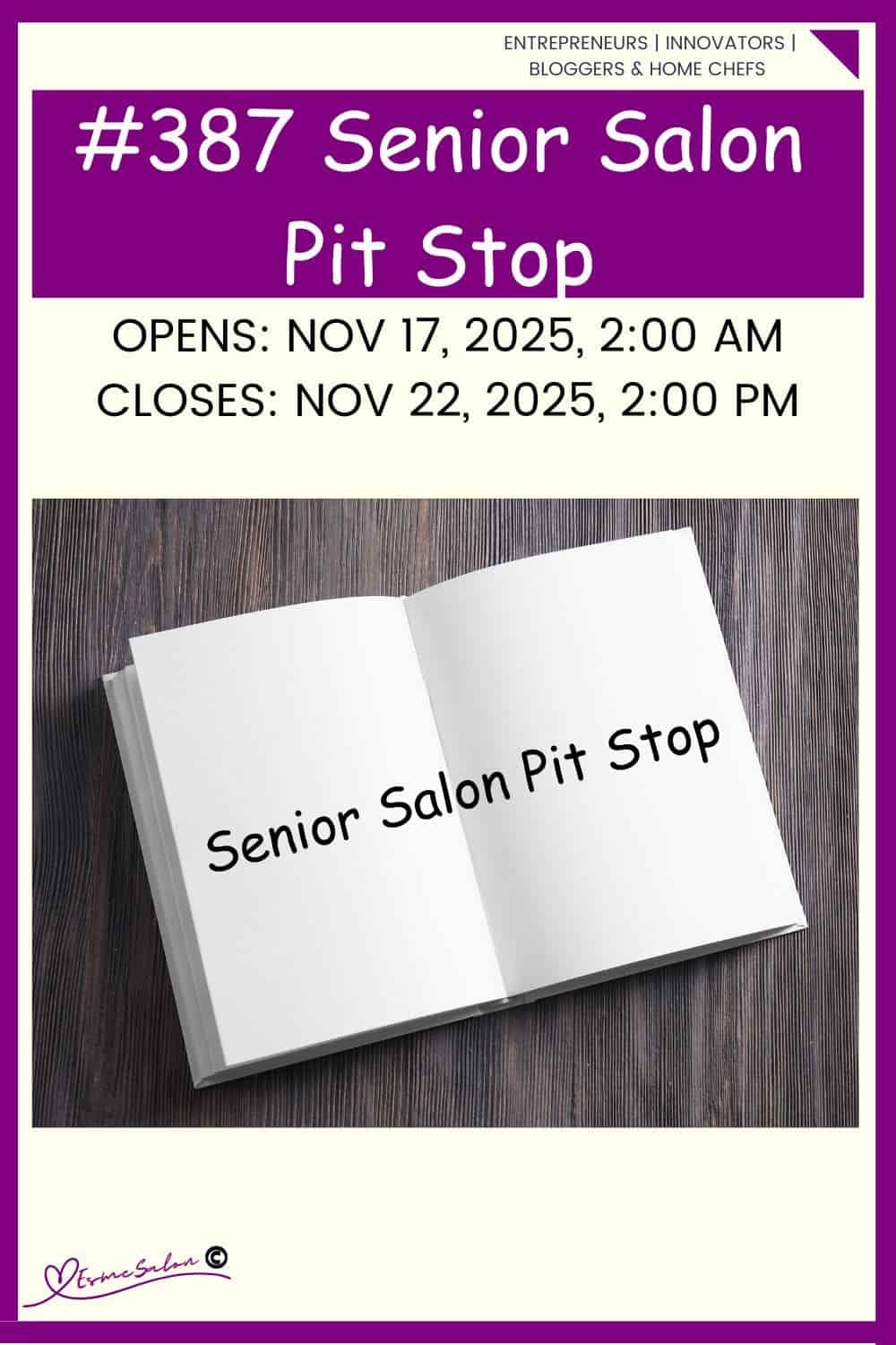 InLinkz 387 Senior Salon Pit Stop