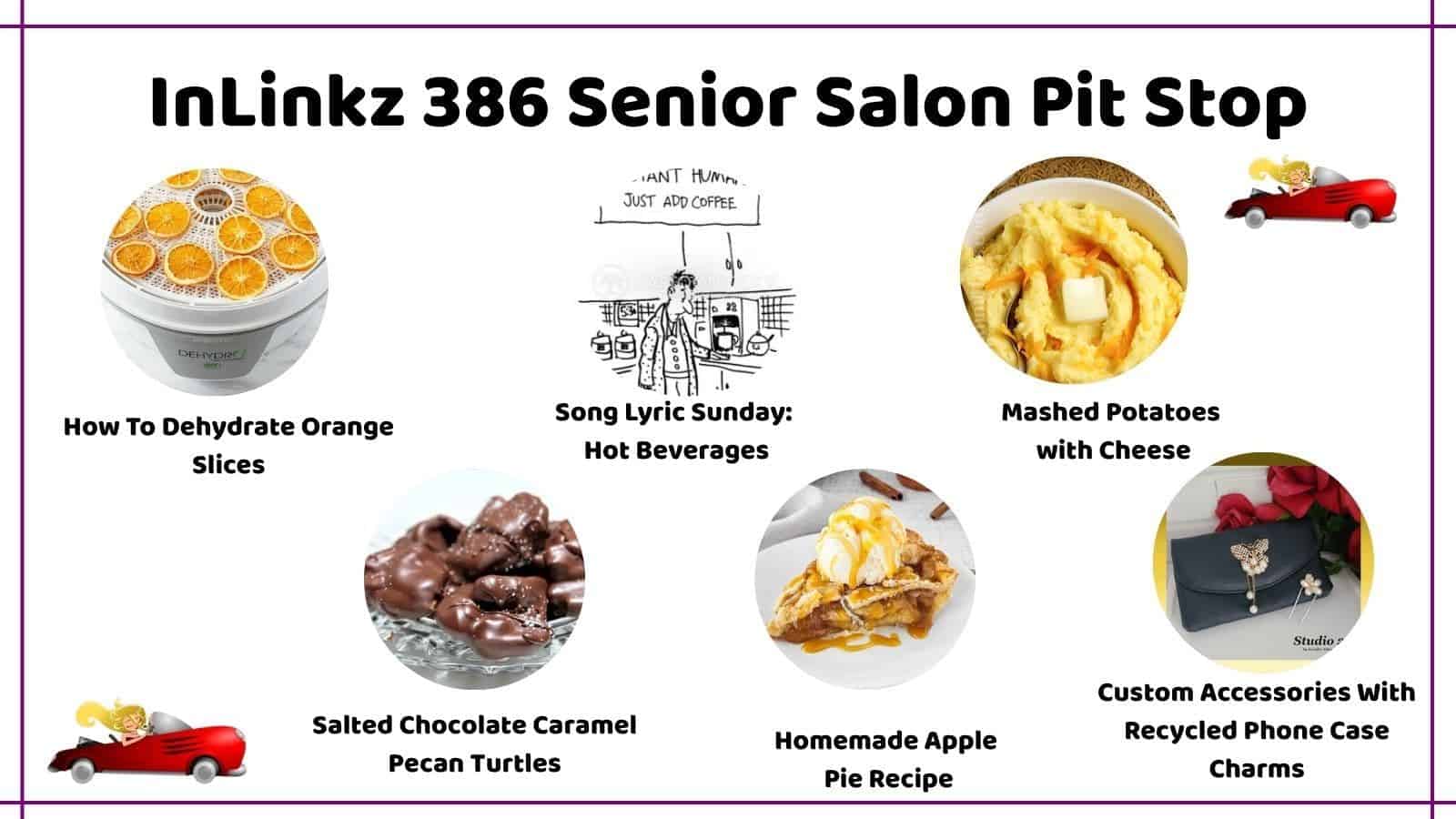 InLinkz 386 Senior Salon Pit Stop