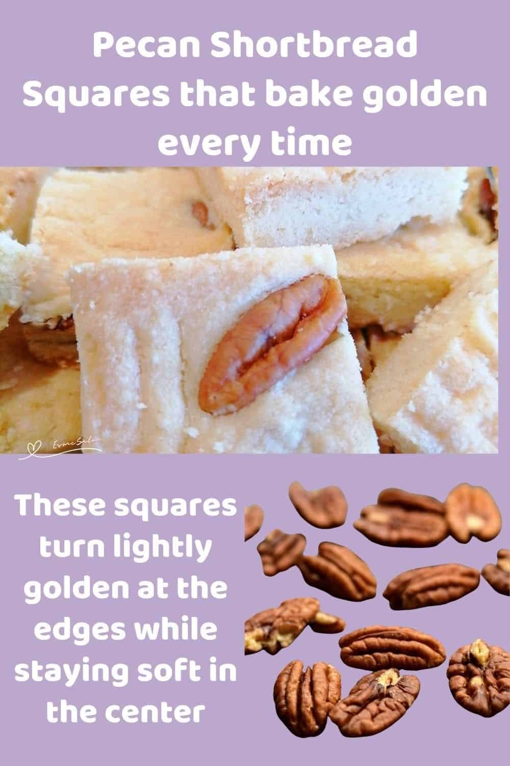 an image of Pecan Shortbread Squares studded with a pecan half