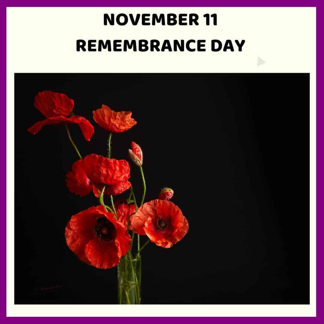 InLinkz 386 Senior Salon Pit Stop