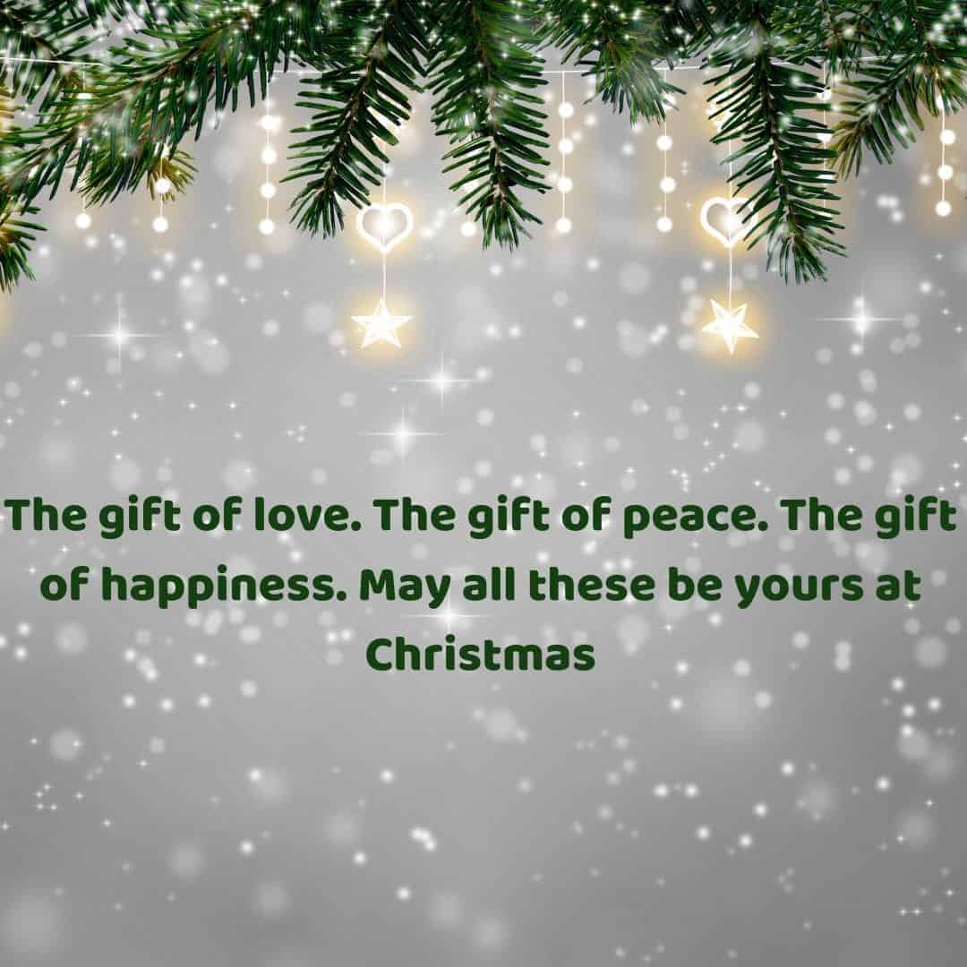 Christmas Special Senior Salon Pit Stop