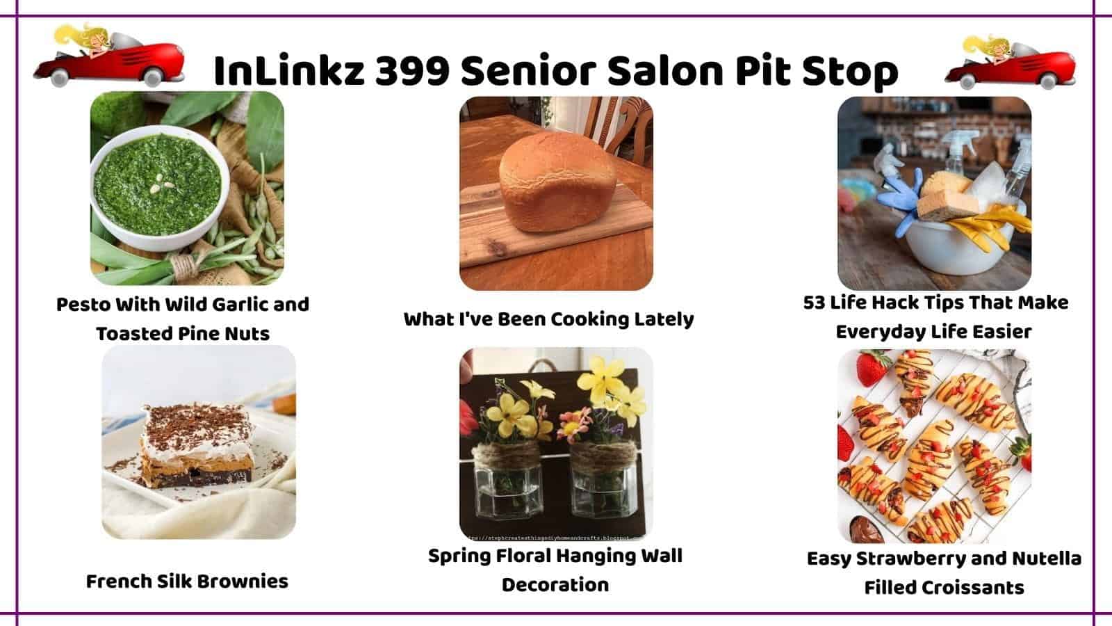 InLinkz 399 Senior Salon Pit Stop