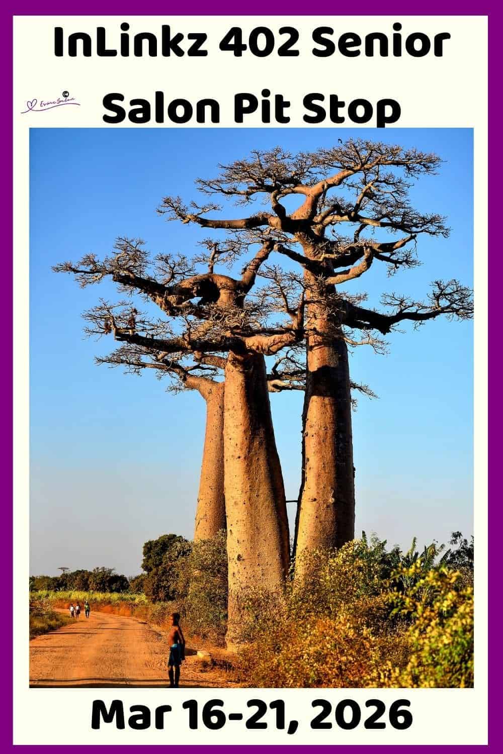 InLinkz 402 Senior Salon Pit Stop