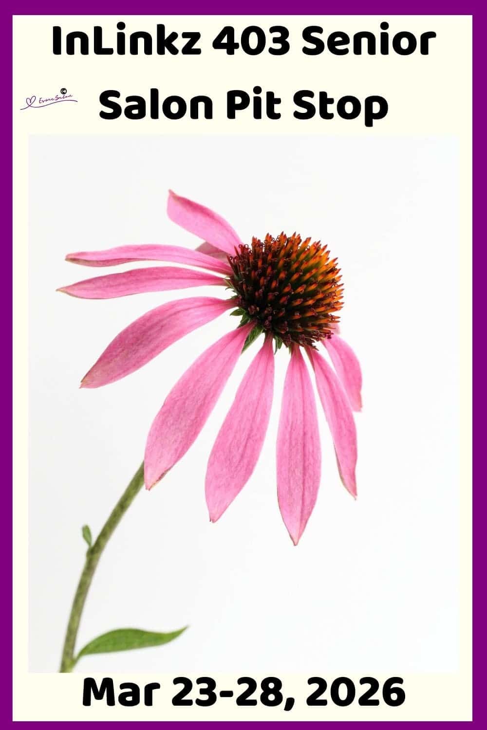 Inlinkz 403 Senior Salon Pit Stop