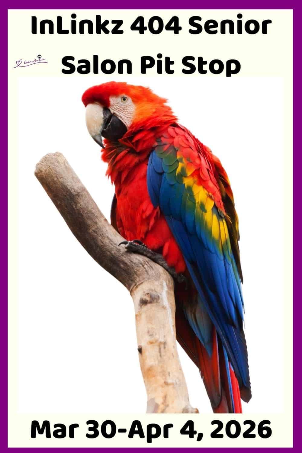 Inlinkz 404 Senior Salon Pit Stop