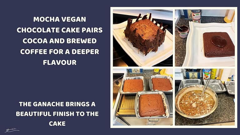 An image of a 3-layer Mocha Vegan Chocolate Cake with ganache and chocolate shards