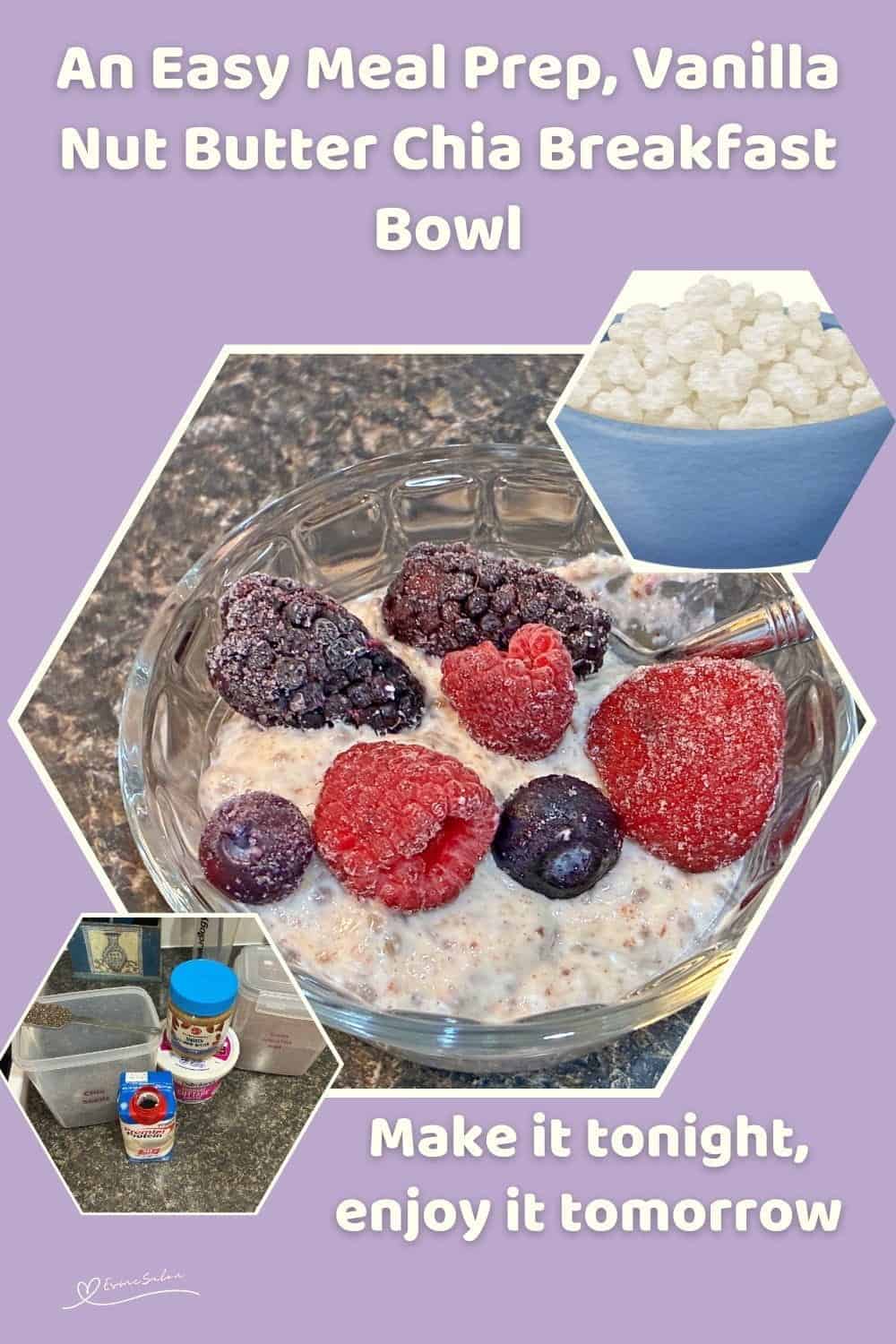 An image of a small glass bowl with Vanilla Nut Butter Chia Breakfast Bowl and topped with berries