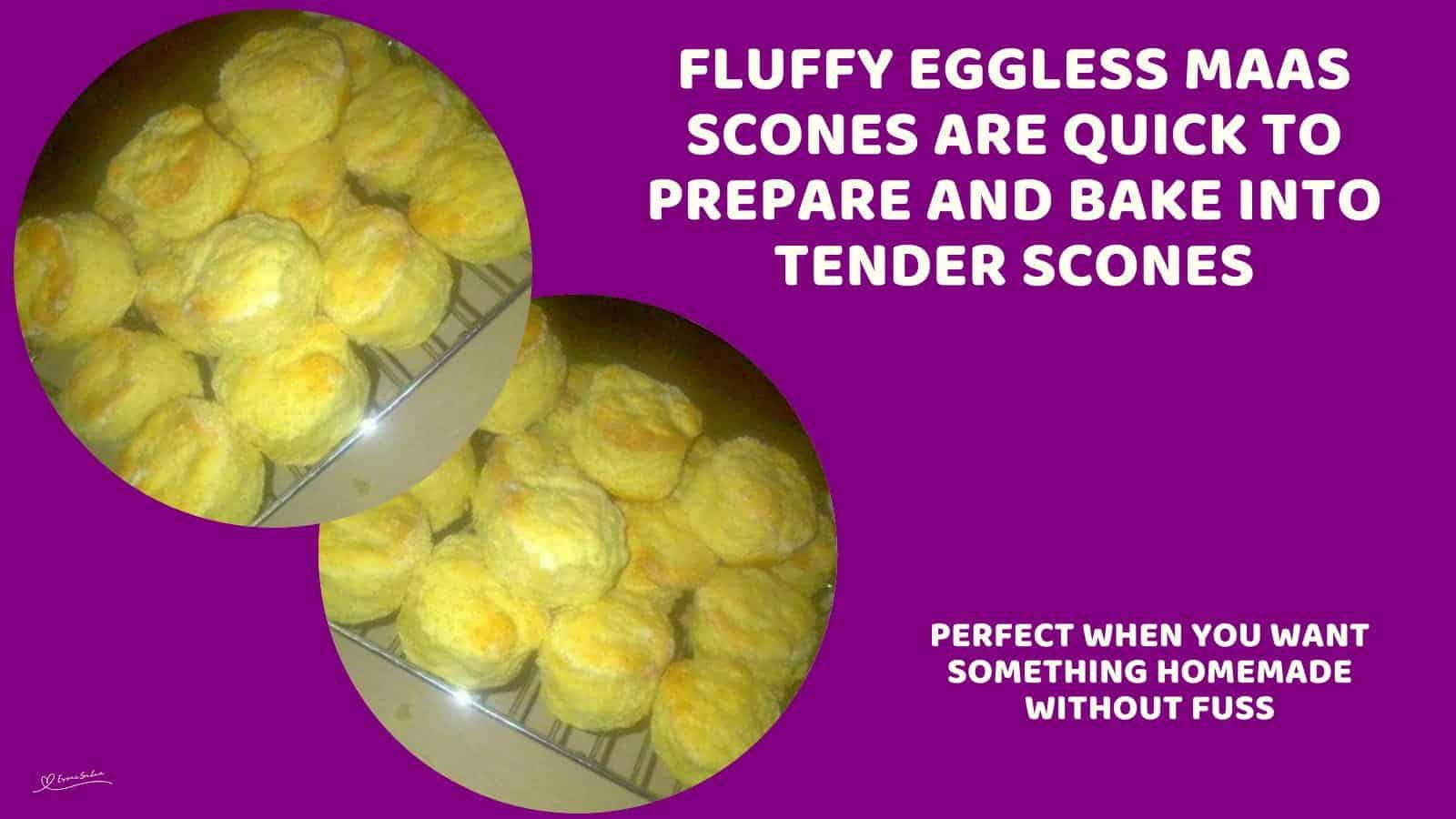 An image of Fluffy Eggless Maas Scones on a cooling wire rack after baking