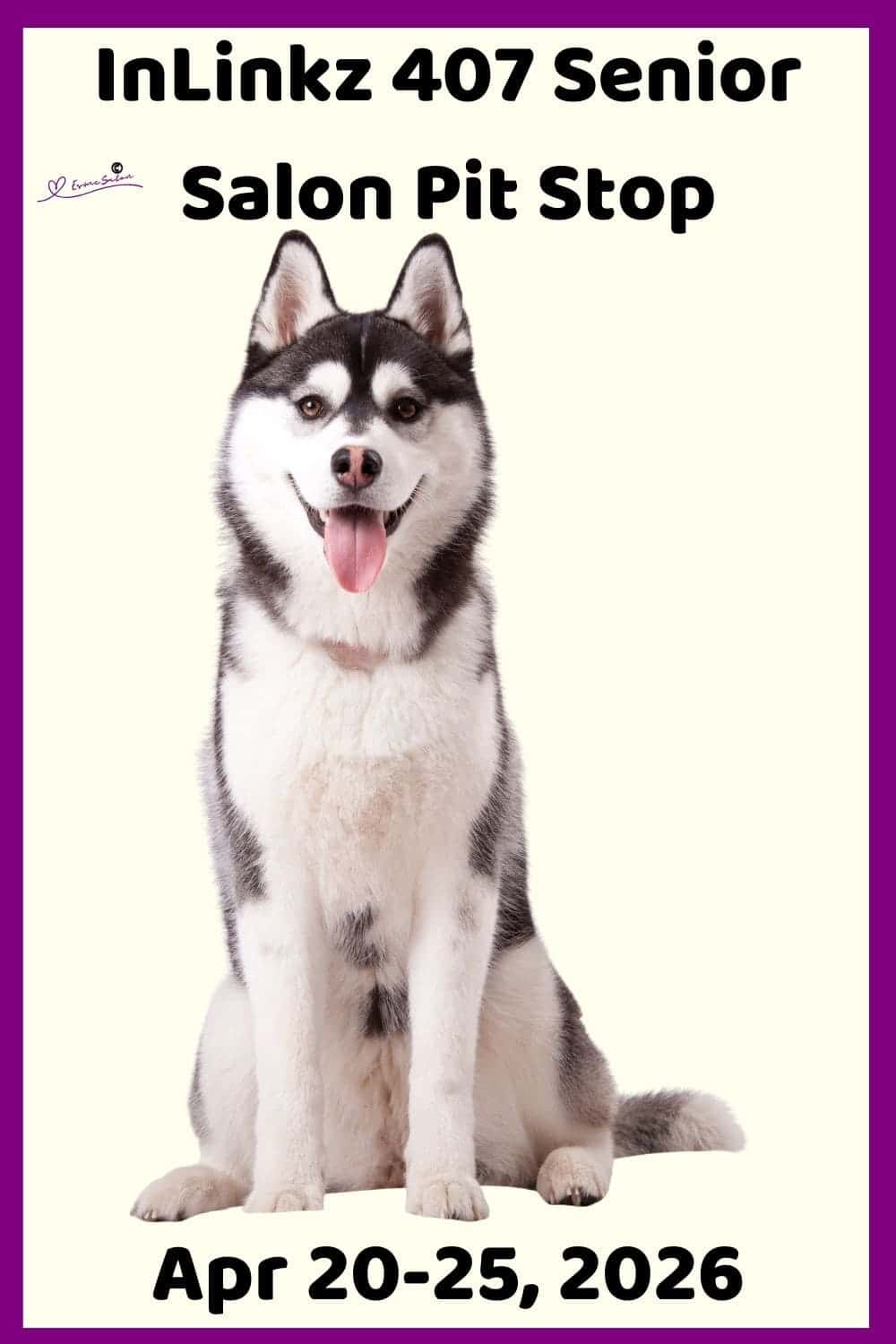 Inlinkz 407 Senior Salon Pit Stop