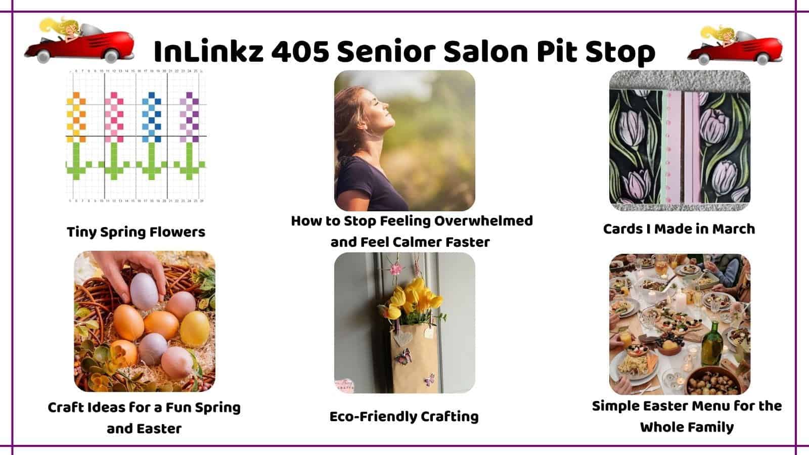 SSPS InLinkz 405 Senior Salon Pit Stop