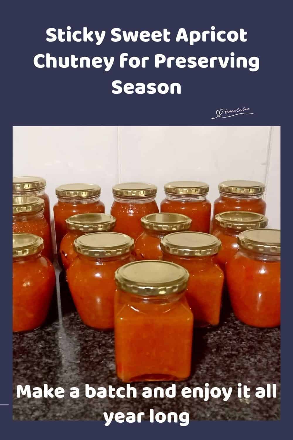 An image of 14 bottles of Sticky Sweet Apricot Chutney