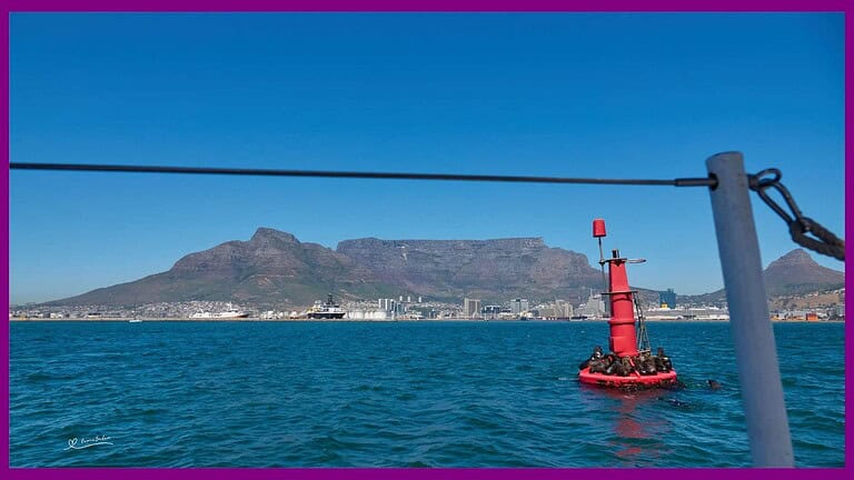 Cape Town Waterfront, Sailing Part 2