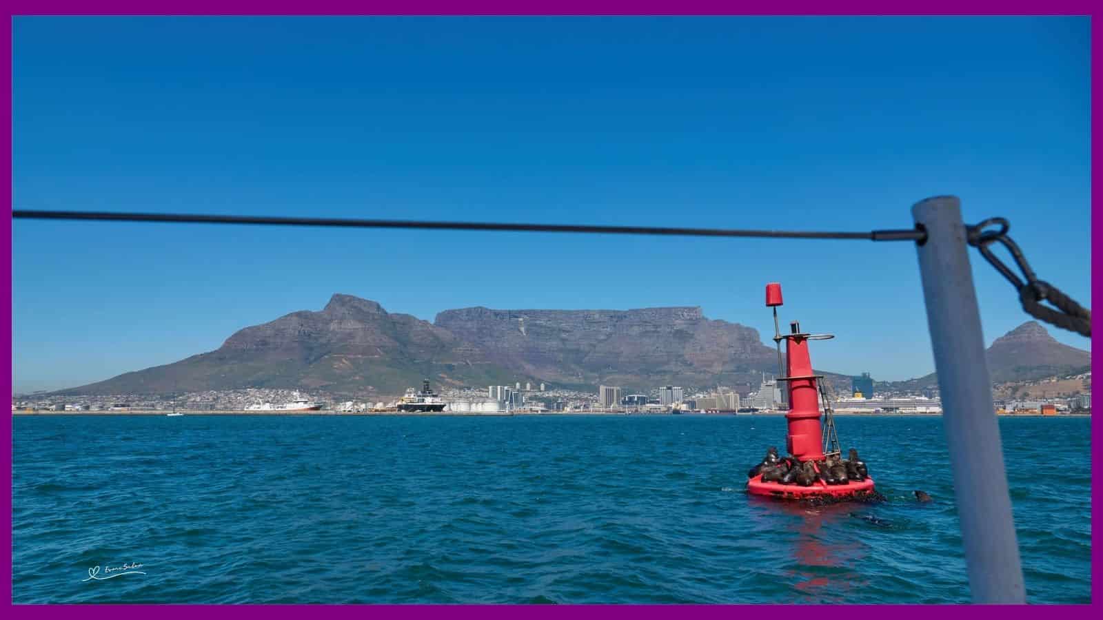 Cape Town Waterfront, Sailing Part 2