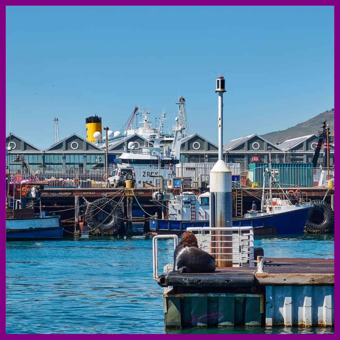 Cape Town Waterfront, Sailing Part 2