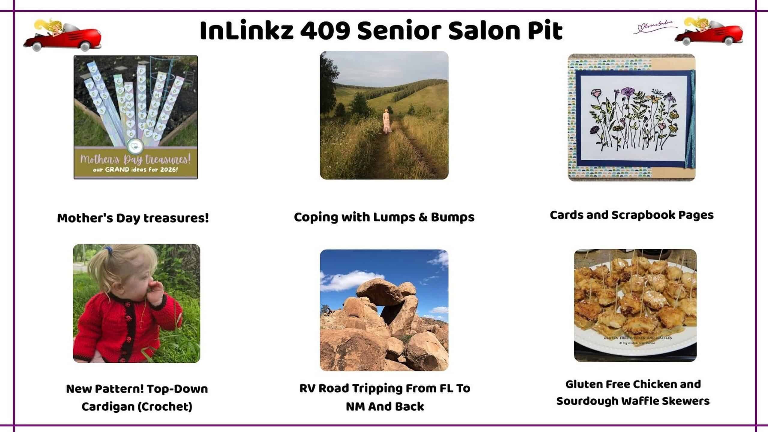 InLinkz 409 Senior Salon Pit Stop