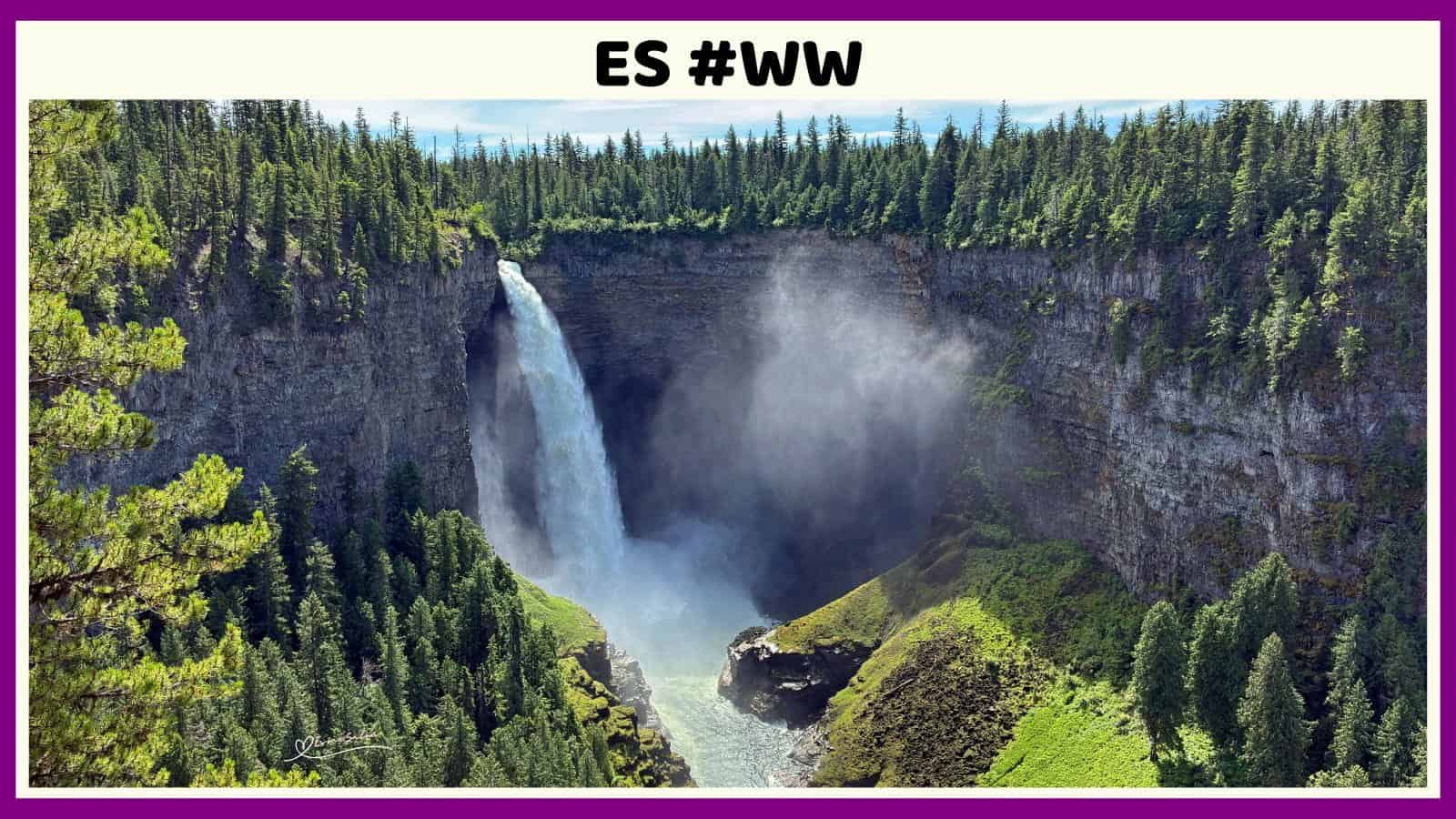 ES #140 #WordlessWednesday
