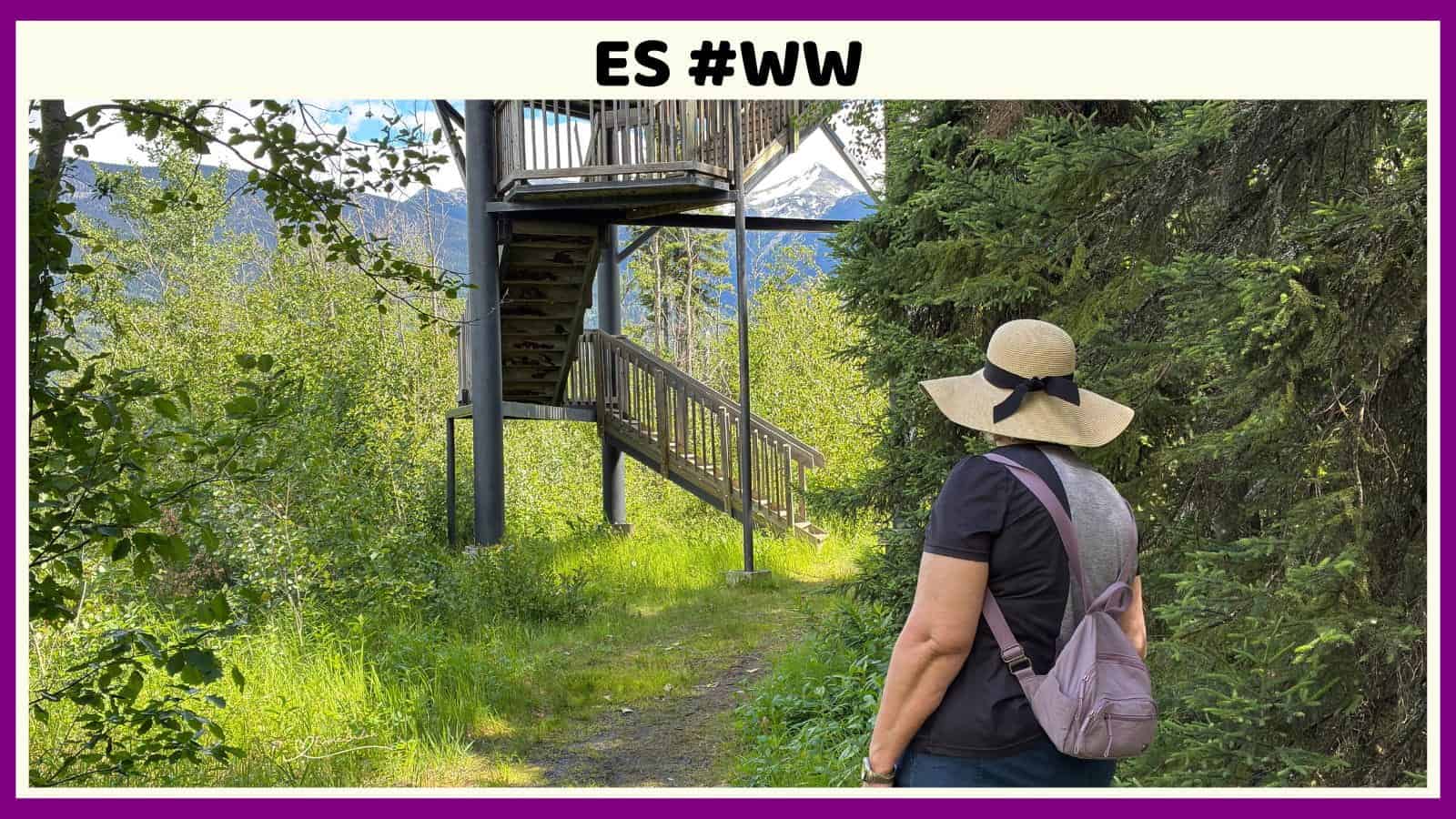 ES #139 #WordlessWednesday