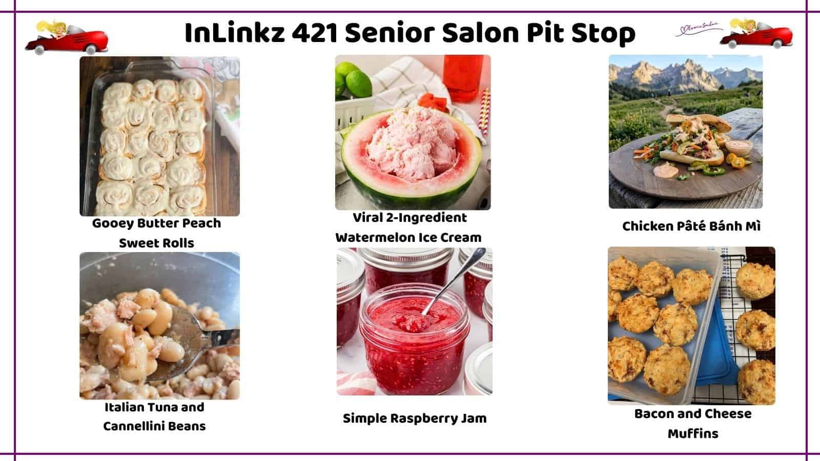 image of the top 6 posts SSPS InLinkz 421 Senior Salon Pit Stop