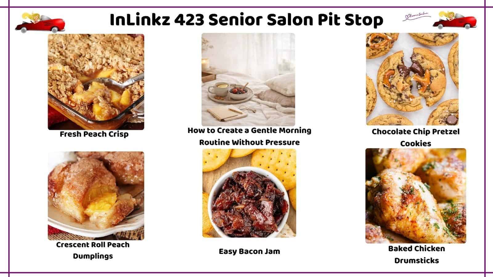InLinkz 423 Senior Salon Pit Stop