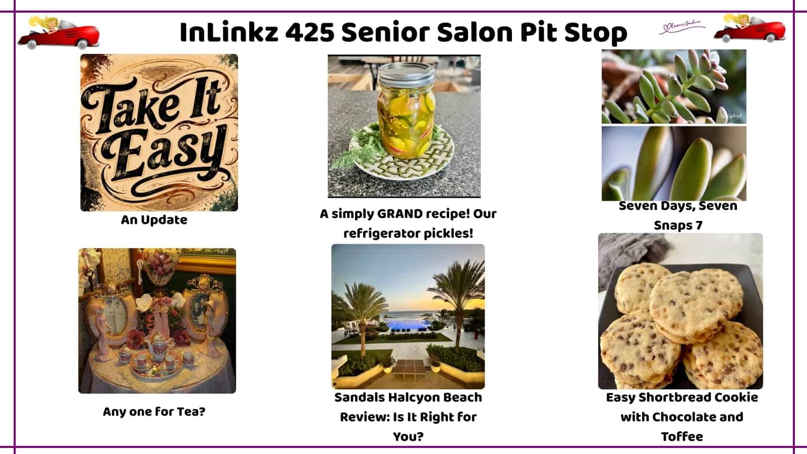 InLinkz 425 Senior Salon Pit Stop