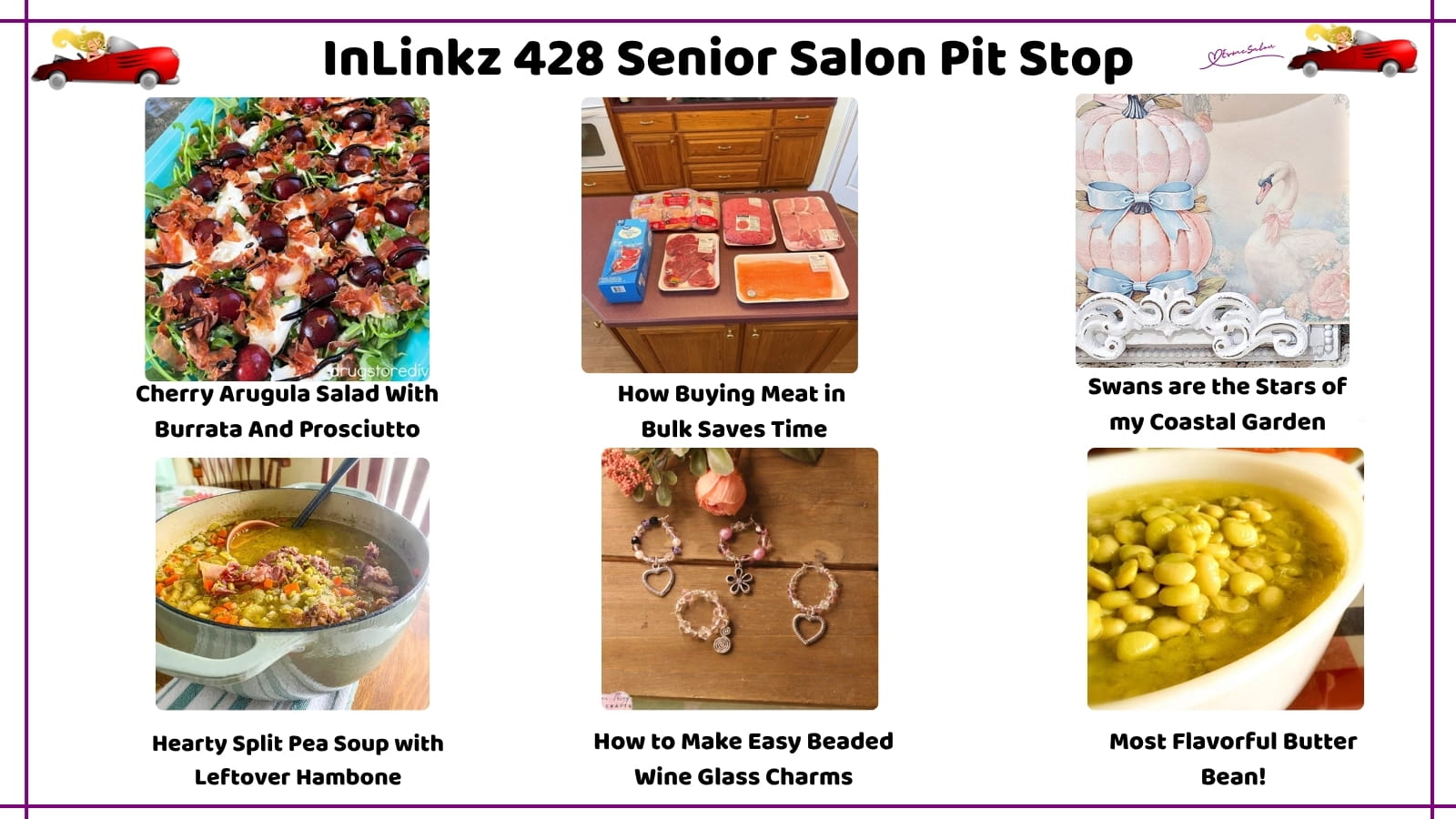 InLinkz 428 Senior Salon Pit Stop