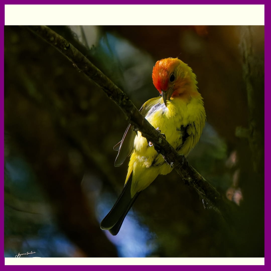 ES #145 #WordlessWednesday