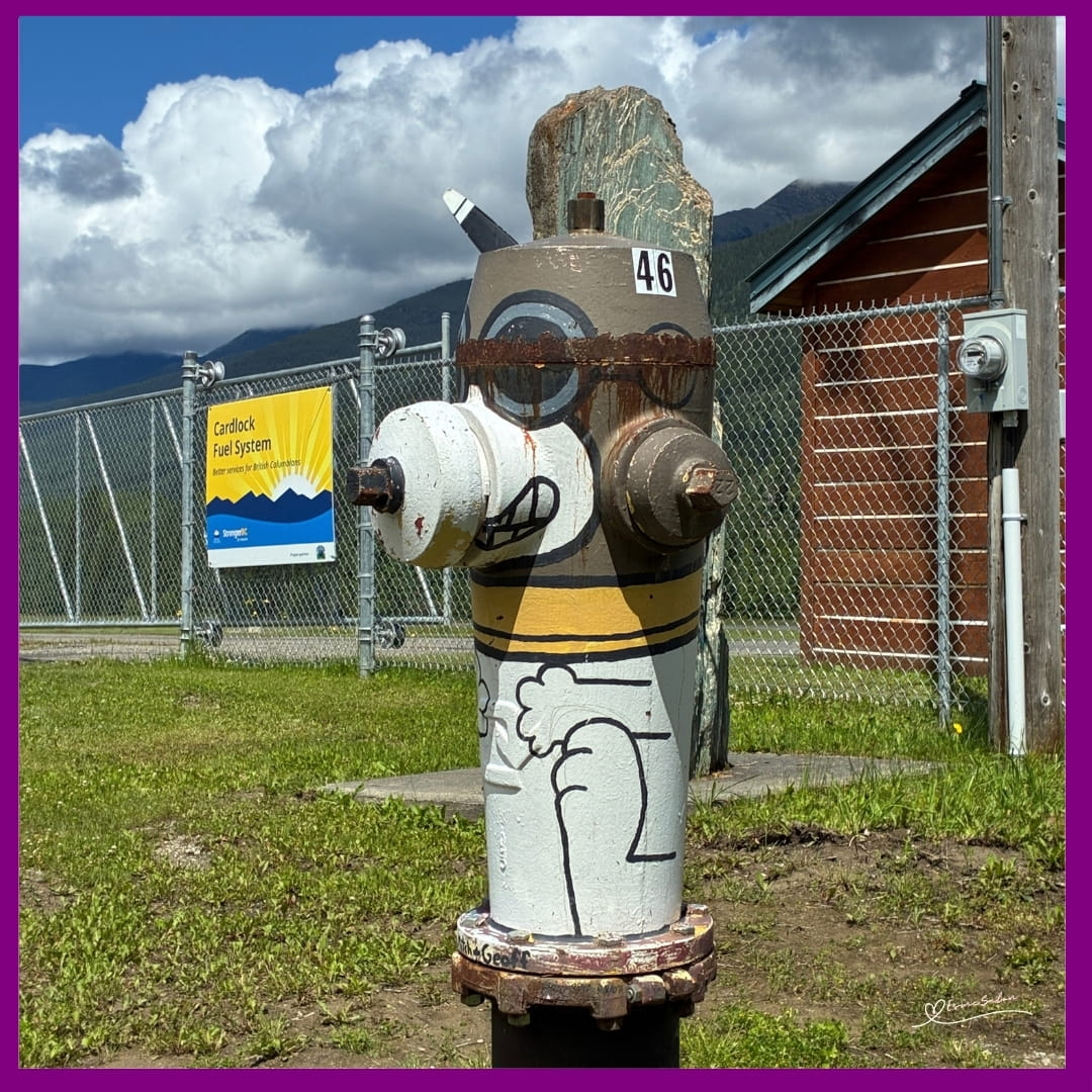 Fire Hydrants