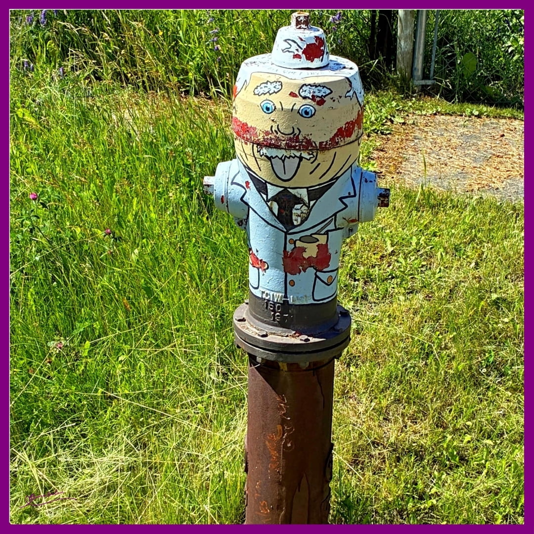 ES #146 #WordlessWednesday