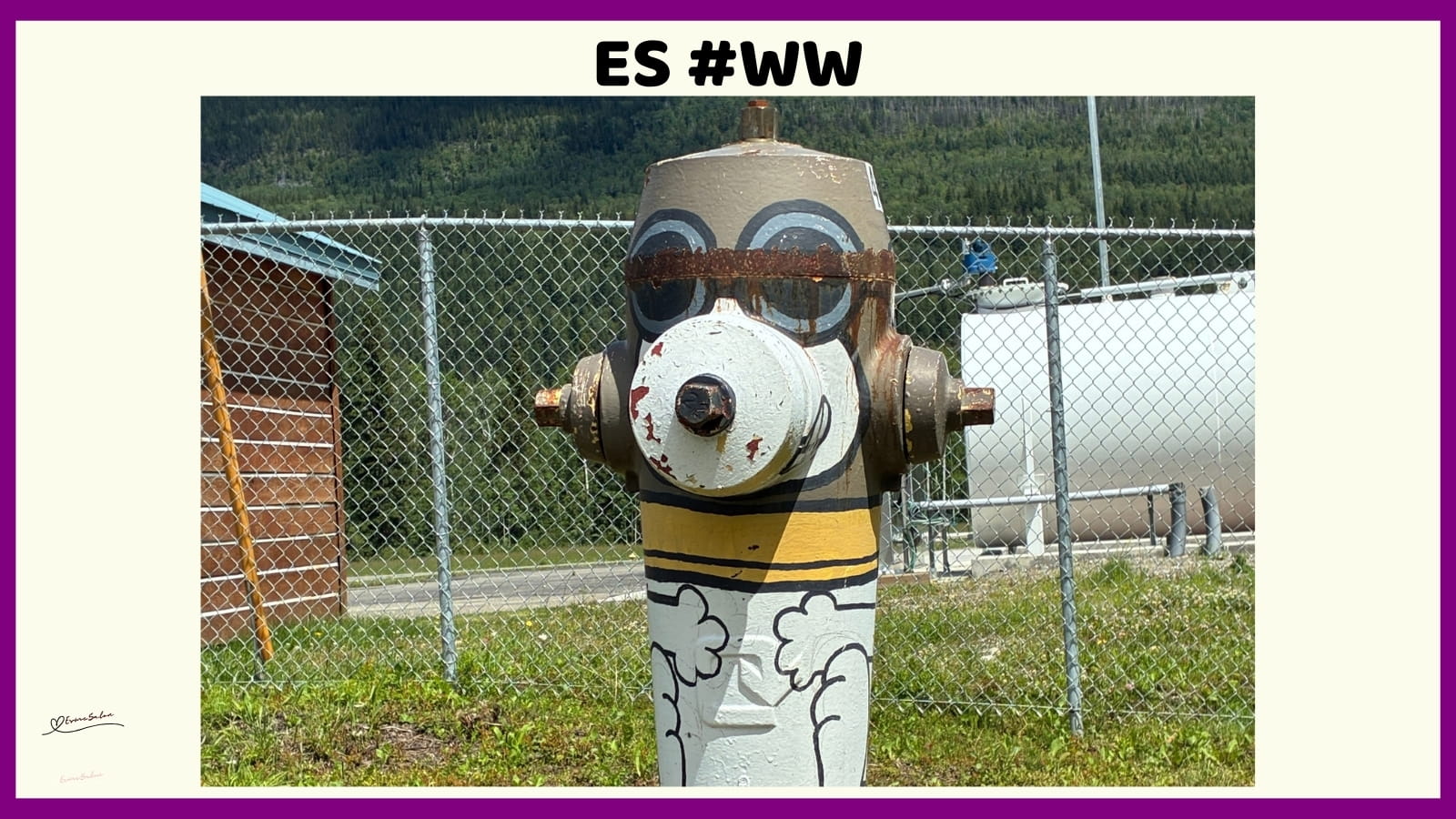 ES #146 #WordlessWednesday