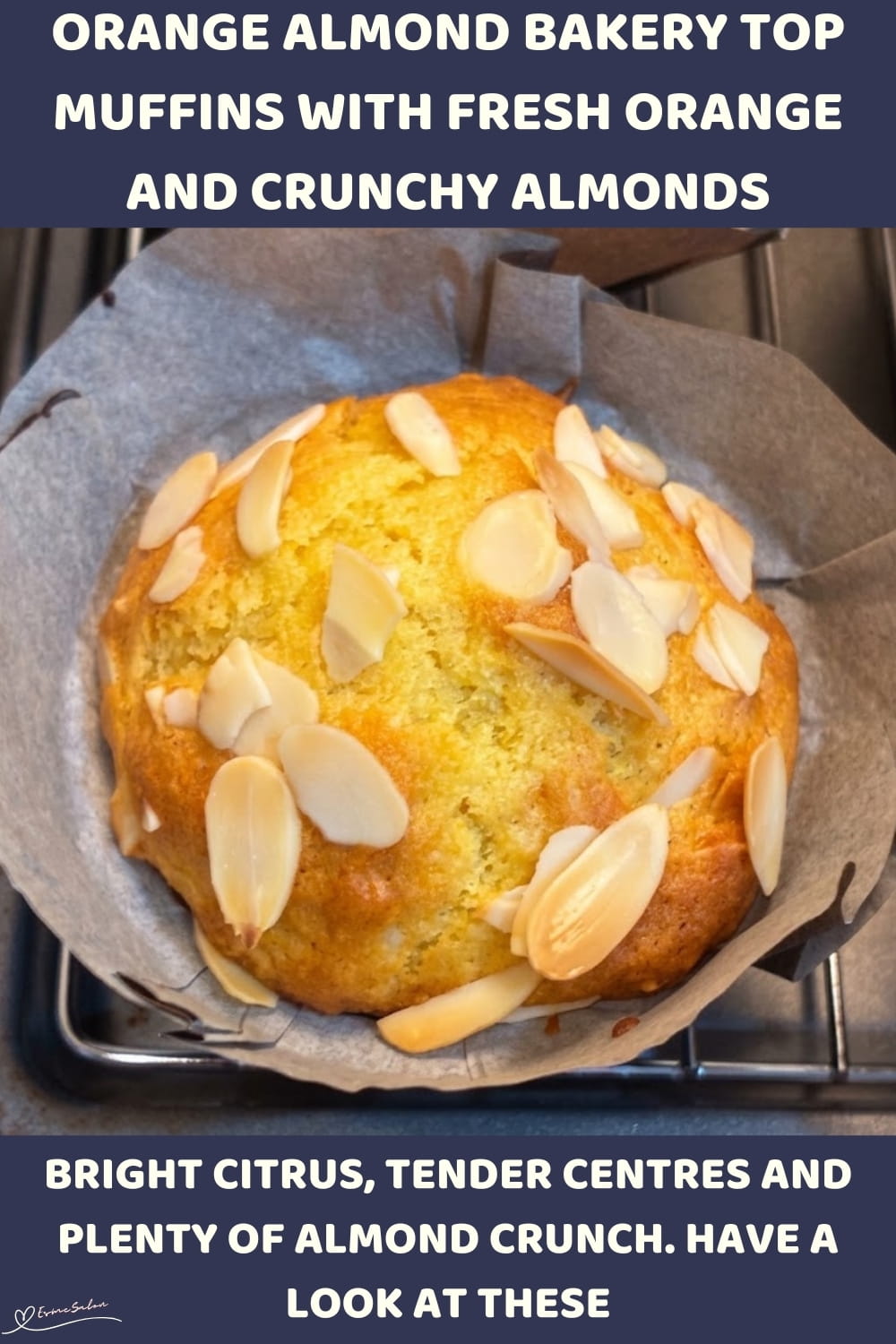 An image of Orange Muffins with Fresh Orange and slivered Almonds