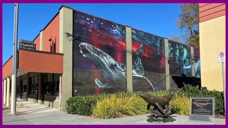 District 1881 Downtown Chilliwack Murals