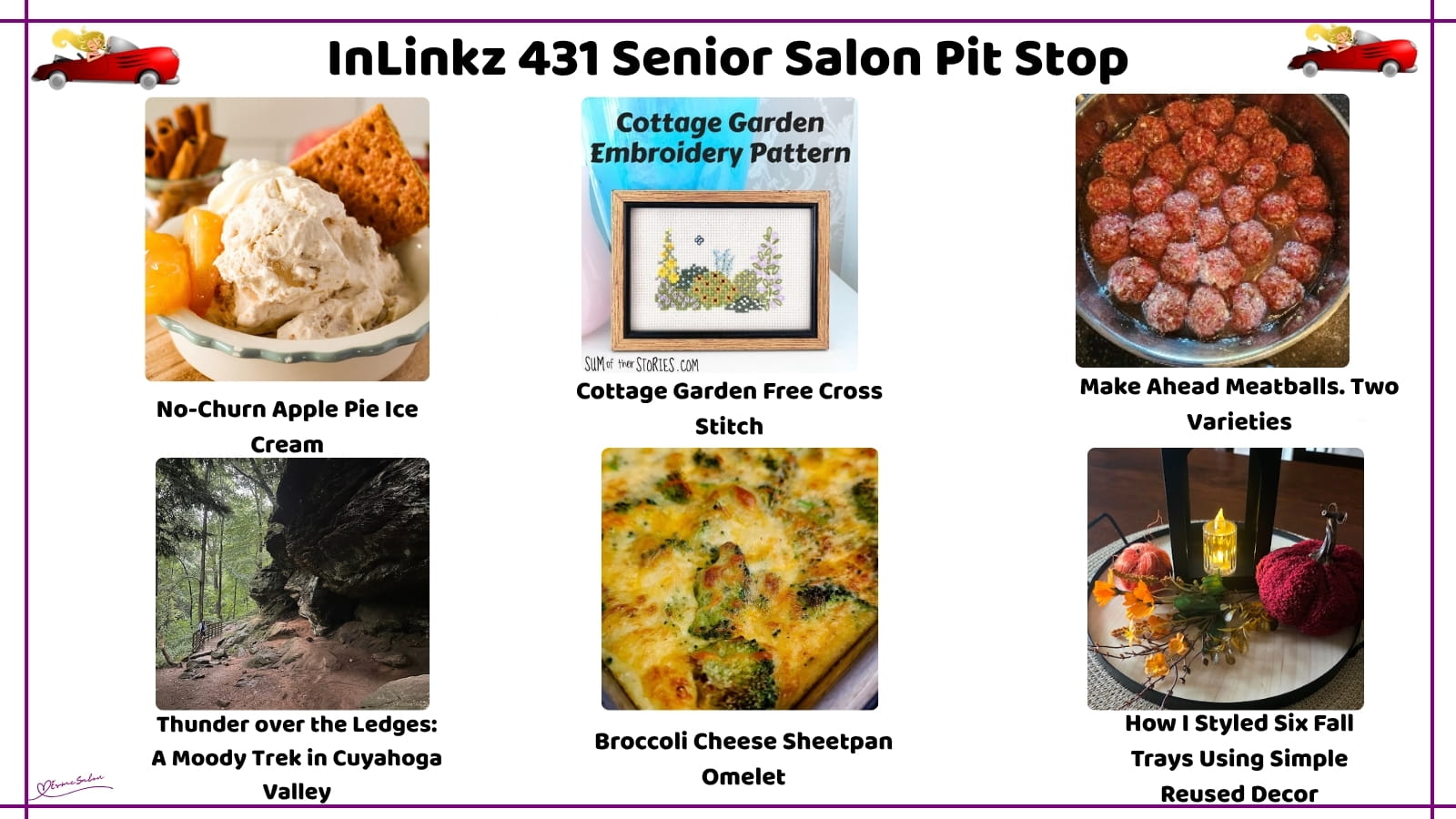 InLinkz 431 Senior Salon Pit Stop