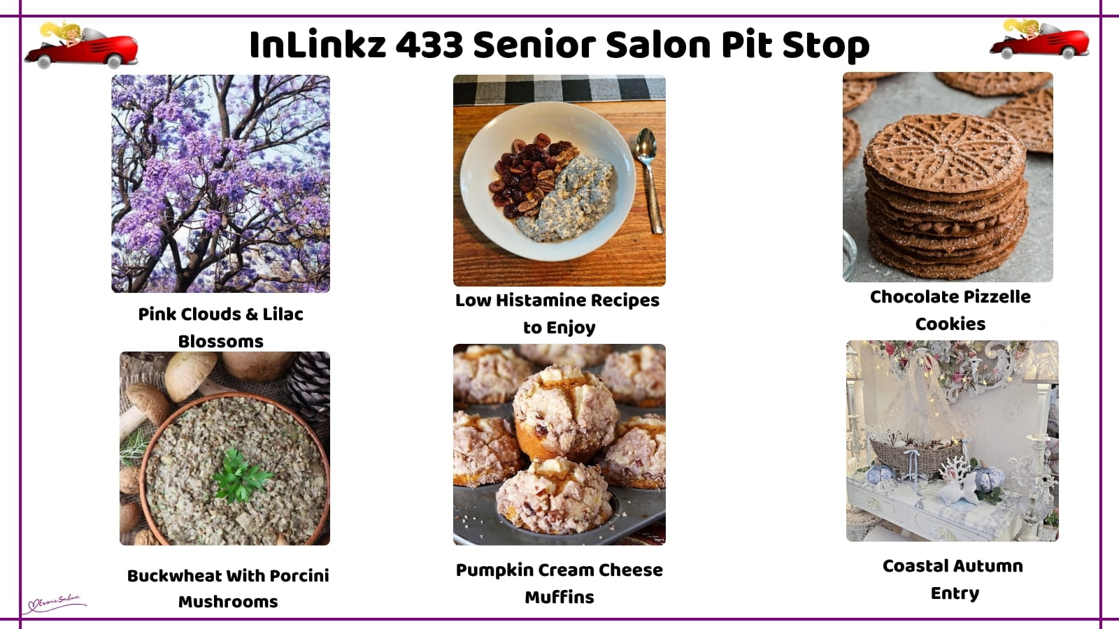 Inlinkz 433 Senior Salon Pit Stop