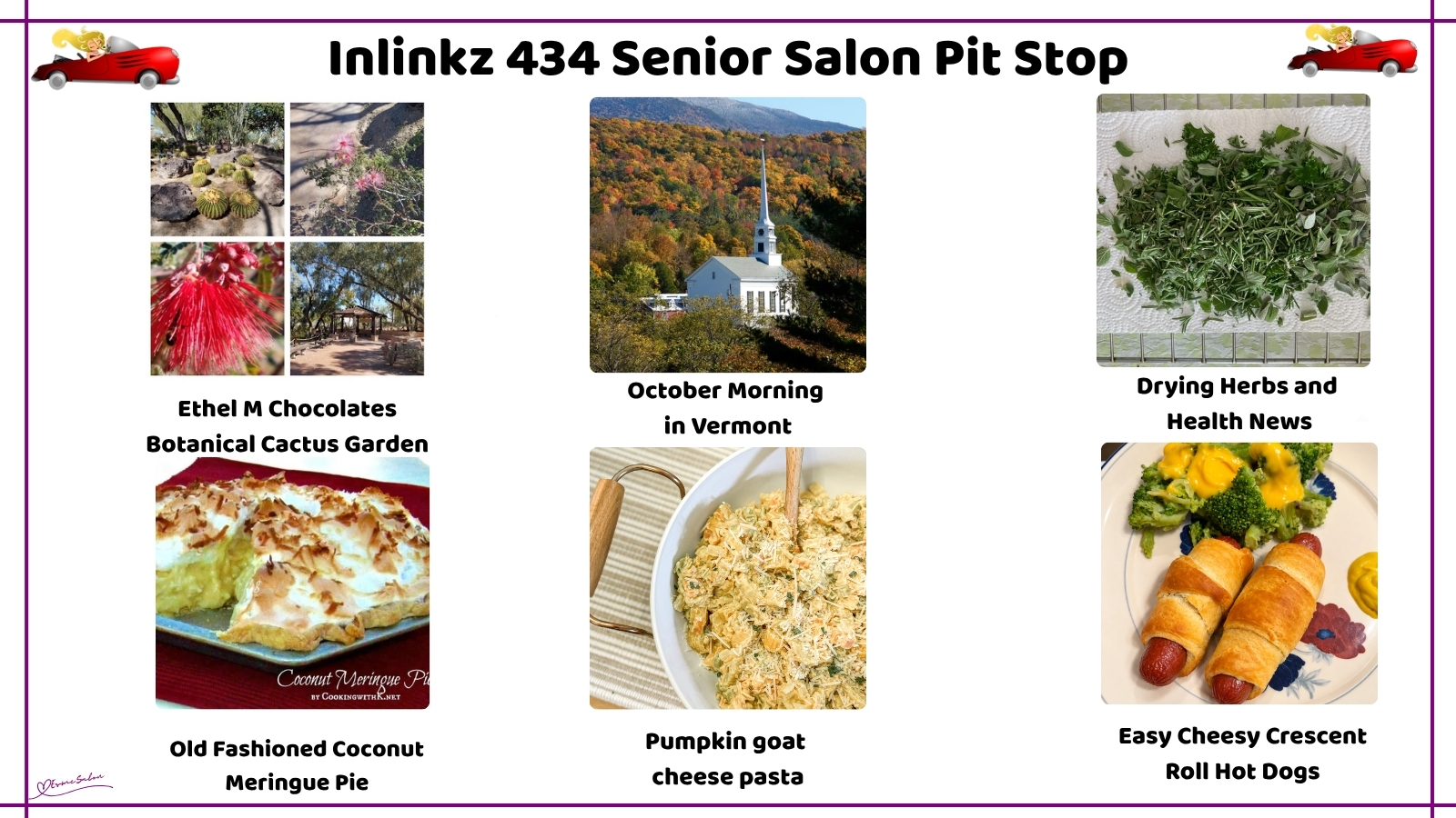 Inlinkz 434 Senior Salon Pit Stop